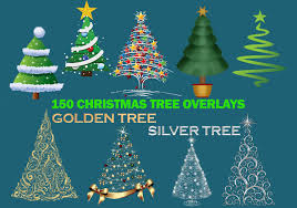 Vertical square horizontal panoramic horizontal panoramic vertical. 150 Christmas Tree Clipart Christmas Tree Overlays For Photoshop Filtergrade