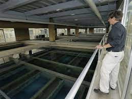 Collins Park Water Treatment Plant Upgrades On Schedule The Blade