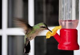 Mix 1 part sugar with 4 parts water (for example, 1 cup of sugar with 4 cups of water) until the sugar is dissolved do not add red dye fill your hummingbird feeders with the sugar water and place outside Homemade Hummingbird Food Easy Fast Cheap With Only Two Ingredients