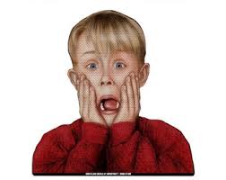 RIDE A LONG Screaming Kevin Perforated Laminated Car Semi Transparent Decal  for Backseat Window. Weather resistant and removable.