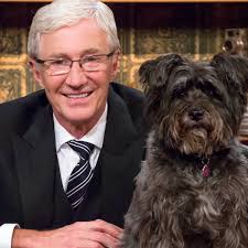 Smarts Dog Grooming Services