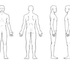 Illustration of human body front side and ear with acupuncture dots. Body Diagram For Professional Massage Chart Front Back Left And Right Views Icon Or Button Contest 99designs