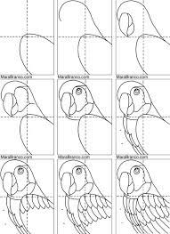 Pin On Parrots