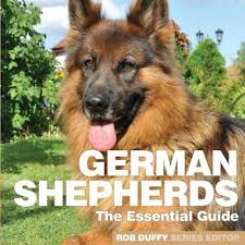 #german,#shepherd,#dog,#price check german shepherd puppy purity in this video i have discussed about the dog market of india where all breed dogs are available in cheap price like german shepherd pomeranian indian speed. German Shepherds Buy German Shepherds By Unknown At Low Price In India Flipkart Com