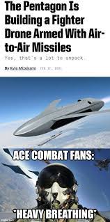 Pin By 1222924 On Ace Combat Combat Fan Memes Combat