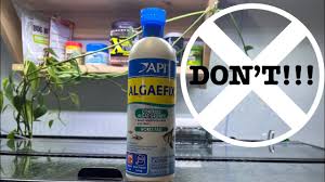 Are Algae Wafers Ok For Mystery Snails : R/Aquaticsnails