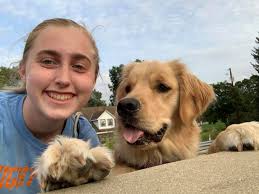 German shepherd turns one year old