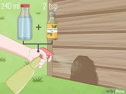 How can i use this image? 3 Ways To Get A Mouse Out Of The House Wikihow Life