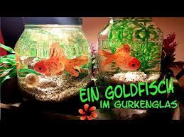 Pappteller basteln mit kindern im sommer: Goldfisch Im Gurken Glas Aquarium Fur Kinder Upcycling Youtube