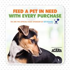 For each successful referral, you get rs 50 off. Pet S Delight Pet Store Dubai United Arab Emirates 1 845 Photos Facebook