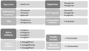 Image result for Meglitinide