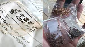Black chia seeds, white chia seeds, organic chia seeds Guidelines For Receiving Illegal Products Or Mysterious Packages From China In The Mail Abc13 Houston