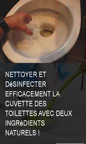 nettoyer et desinfecter efficacement la cuvette des toilettes avec deux ingredients naturels toilette toi cleaning hacks cotton candy machine candy machine