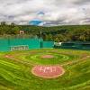 Grand rapids couple transforms backyard into wiffle ball stadium. 1