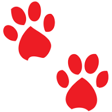 Puppy paws rescue in huntingtown, md has pets available for adoption. About Us Animal Rescue Bosnia