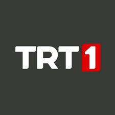 Trt haber terör örgütünün hedef aldığı hastaneyi görüntüledi. Trt Izle Home Facebook