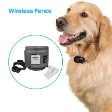If so, installing an electric dog fence is worth considering for total pet containment. Premier Pet Wireless Fence Portable 1 2 Acre Coverage Walmart Com Walmart Com