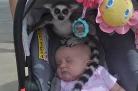 You're failing a college class. Parents Are Posting Their Most Epic Fails And It S Hilarious Bored Panda