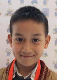 Bao Anh Le Bui player profile