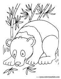 At the time of their birth, baby pandas are pink in color. Monthly Archives November 2020 Page 2 Bible Coloring Pages For Kids Kung Fu Panda Coloring Pages Tools Coloring Pages Cool Math Food Games Math Assessments For Special Education Logarithmic Graph Paper Kung