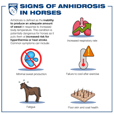 Image result for Anhidrosis