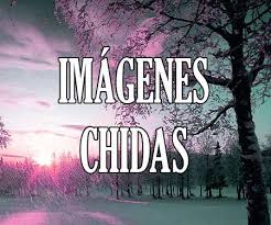 Si te gusta la app déjanos una reseña con 5 estrellas! Imagenes Chidas Chingonas Perronas Con Frases De Amor Y De Todo