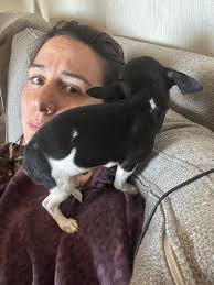 He was a bit grumpy being put in his overall I'm knitting for him. But fell  asleep with in 2 minutes. Wake up and say hello to everyone Máni👋