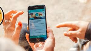 Wow, i always look up pictures of sun spiders on here but i just now came across this. Nnn Search