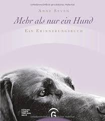 Hund Gestorben Was Nun Hunde Fande