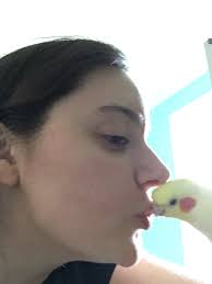 Why's ciffjumper flipping the bird (wrong answers only)