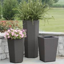 We have 200 guides on everything from. 10 Japanese Flower Pots Ideas Japanese Flowers Flower Pots Plants