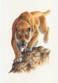 Smilodon By Esther Van Hulsen Smilodon Extinct Animals Prehistoric Animals