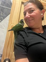 I am desperately trying to find my twin sister Betty. We are both 62yrs  old. She lived briefly in Chapelton Drive, Polbeth, before she disappeared  in 2012. Before that she lived in