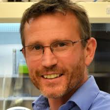 Christopher Collison's Instagram, Twitter & Facebook