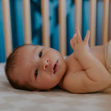 Danielle Pedigo (@daniellebpedigo) • Instagram photos and videos