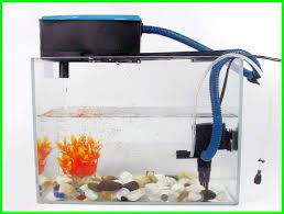Yang reefers bisa lakukan sekarang adalah untuk tes air aquarium reefers dan lihat level kh, ca dan mg di aquariummu. Cara Kerja Pompa Udara Akuarium Yang Harus Diketahui Daftarhewan Com