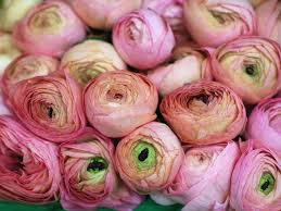 Maybe you would like to learn more about one of these? The Flower Market Perth Home Facebook