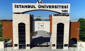 Asya kaplan sivrisineği i̇stanbul'dan sonra 13 ilde daha görüldü. Istanbul Universitesi Cerrahpasa Study In Turkey