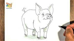 Comment dessiner un cochon facile au crayon - YouTube