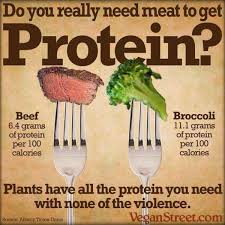 fact or fiction vegetable protein edition thinkybites