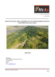 Image result for Dissotis anchietae