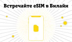 The beeline community is a private online community for our clients and partners. Esim Ot Bilajn Distancionnoe Podklyuchenie Za 5 Minut Press Centr Bilajn Moskva