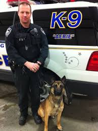 Maybe you would like to learn more about one of these? Anchorage Police Department On Twitter Before K9 Officer Brown Worked In The Patrol Division He Has Been With The Apd K9 Unit For 20 Years He S The Only Handler In Apd History