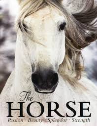 I keep my coffee table books open and flip to a new display page weekly. The Horse Parragon Books 9781472351463 Amazon Com Books