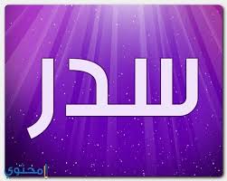 اسماء اولاد اسلامية من القران جميلة جدا موقع محتوى