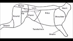 Moose Meat Cuts Chart