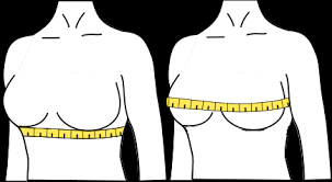 Bra Size Calculator - How To Measure Bra Size