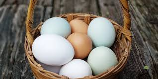 Chicken Egg Colors: A Complete Guide