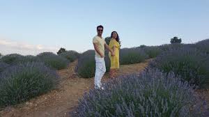 Mor rengin her tonunu bünyesinde barındıran lavanta hem ruha hem de bedene iyi gelen bir çiçek. Lavanta Tarlalari Isparta Kuyucak Koyu Bujuyollarda