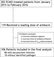 predictors of insufficient peak amikacin concentration in